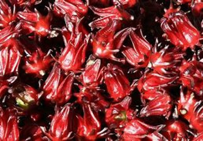 Hibiscus Bio -Hibiscus sabdariffa - Origine Egypte - 50 gr